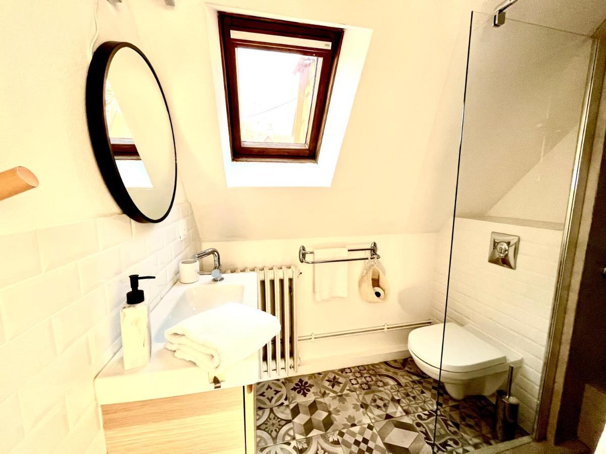 Sous Les Toits Avec Garage Et Terrasse A Ribeauville Dış mekan fotoğraf
